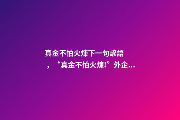 真金不怕火煉下一句諺語，“真金不怕火煉!”外企老總寄語中國經濟-第1張-觀點-玄機派